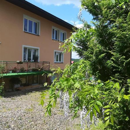 Noclegi Pod Lasem Solina 20 Екстериор снимка