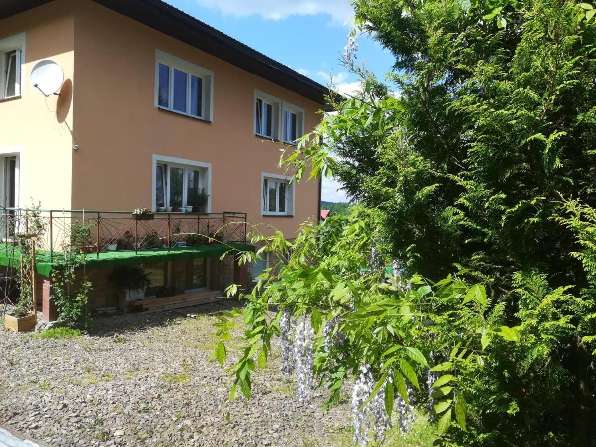 Noclegi Pod Lasem Solina 20 Екстериор снимка