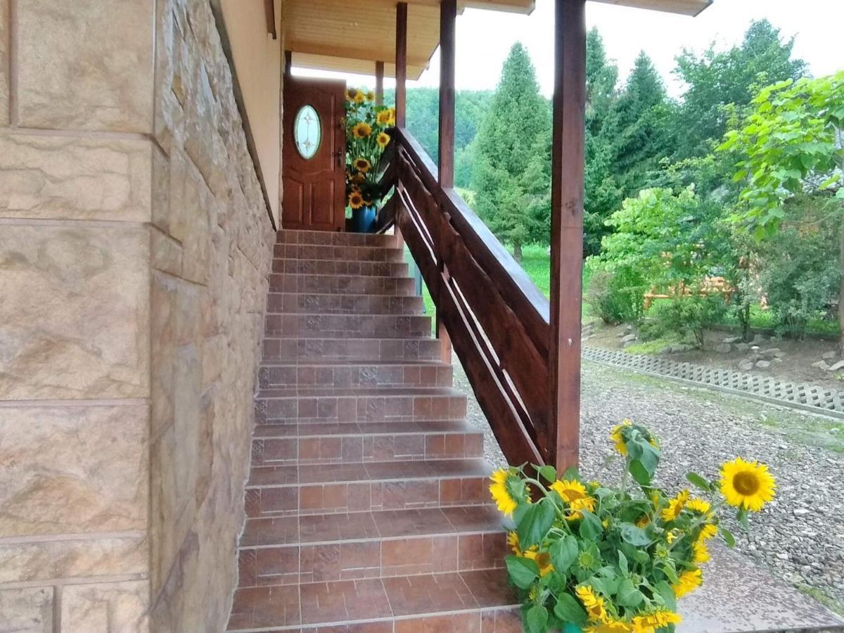 Noclegi Pod Lasem Solina 20 Екстериор снимка
